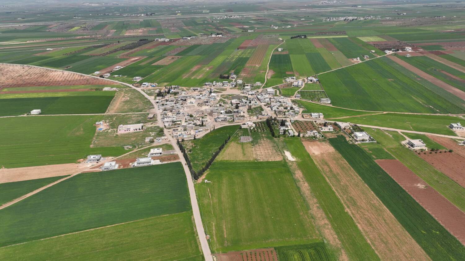 When Wheat Becomes Life in Northern Syria - 4