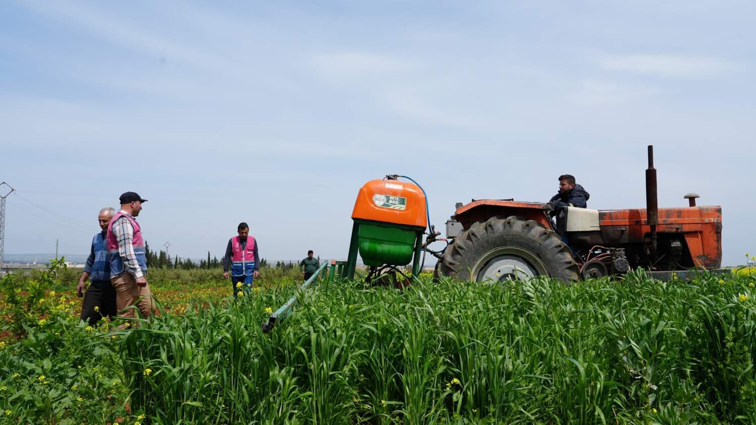 When Wheat Becomes Life in Northern Syria - 3