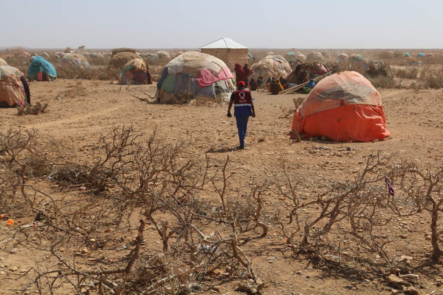 Somalia’s Drought Crisis: When Water Becomes a Dream - 2