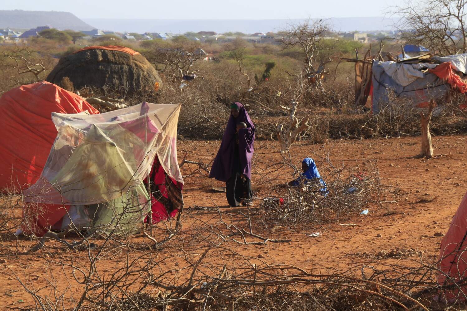 Somalia’s Drought Crisis: When Water Becomes a Dream - 4
